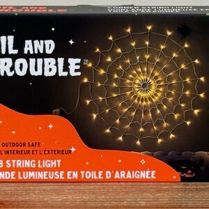 Halloween Spider Web LED Light